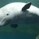 원-헬스 이미지