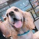 마린숲 동물병원 이미지