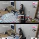 환호 민박 이미지