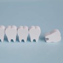 돼지나라 - 가평군 오리나무길 41-8 | 돼지나라
