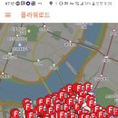 플라워로드 티스토리