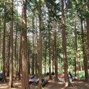 무궁화어린이공원 수 이미지