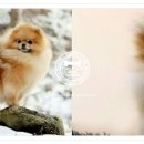 스테이 모량 이미지