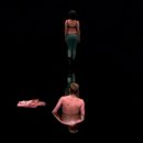 더스킨(The skin)