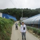 동산1리 이미지