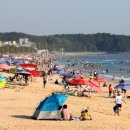 대천해수욕장 이미지