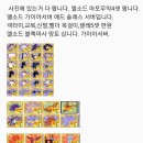 인큐템 Daum카페