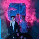 튼튼태권도체육관 | 김포 블랙벨트 태권도학원 다양한 체험활동 그리고 체육관 후기