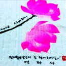경남나염