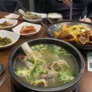 조강로 56번길 | 김포 통진 갈비탕 맛집, &#39;진선미&#39; 진한 국물과 가성비 소갈비찜 꿀조합 솔직후기