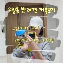 가나세탁 | 우알롱 댕댕이 반려견 커플모자 후기, 산책 외출 시선집중 아이템 추천