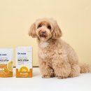 펫라이프 이미지