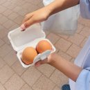 동물식물 자연과학교실 | 경기도 용인 곤충테마파크 체험후기 (메뚜기잡기,유정란 훔쳐오기, 동물 먹이주기)