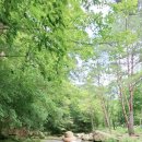 너와나 야영장 이미지