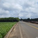 성지 태양광발전소 이미지