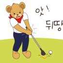 솔투어&골프 이미지