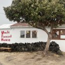 호그니 하우스 이미지