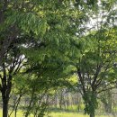 금강수변공원5 이미지