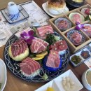 다온참치 이미지