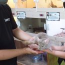 재리쥬 작은동물원 이미지