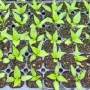동처농장 네이버블로그
