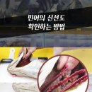 민어나라
