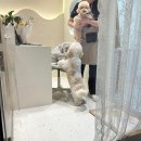 한올디테일그루밍 이미지