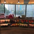 노엘동물병원 이미지