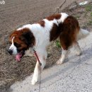 부마클럽 이미지