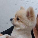 구평동물병원 이미지