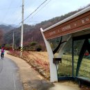 오전2리생달 이미지