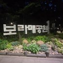 정원 양한방동물병원 | 2025 서울국제정원박람회 보라매공원 밤산책 후기(+보라매공원 카페&amp;음식점 추천까지)