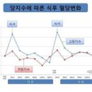 찹쌀 효능 찹쌀밥 칼로리 당뇨 이미지