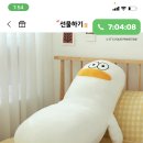 오둥이 모찌 바디필로우 이미지