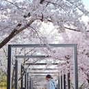 삿갓봉근린공원 이미지