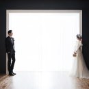 비바체 이미지