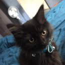 하와유투데이 이미지