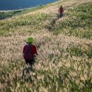 홍길동민박2 이미지