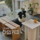 성북38 | 성북구 돌곶이 한예종 커피 디저트 맛집 타입커피 애견동반 후기