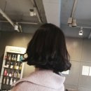 댕기머리크라시바헤어 네이버블로그