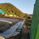 파평주유소 이미지