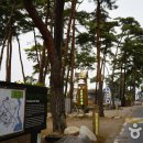 점봉산산채산나물천국 이미지