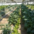 워낭농장 이미지