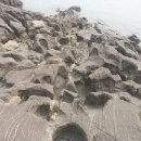 시도리운동장 이미지