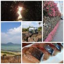 남원읍-116 | 제주 겨울 혼자여행2 :: 제주 남원읍 (위미리무주향, 코업시티하버뷰, 큰엉해안경승지, 강원수산)
