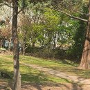 아레나한의원 | 올림픽공원 올림픽홀 하현상 콘서트 관람후기