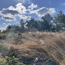 블루하와이리조트 이미지