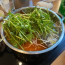 과천역 | 과천 과천역 정부과천청사역 샤브샤브 맛집 청록미나리식당 후기