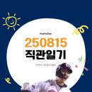 GS25 잠실잠전점 | 250815 | 잠실 종합운동장 잠실야구장 직관후기 1루 네이비 307블럭 11열 120 통로좌석