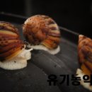 관골 농장 네이버블로그